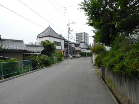 画像7